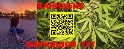 a pvp Камышлов