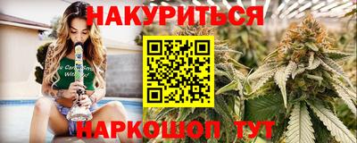 a pvp Камышлов