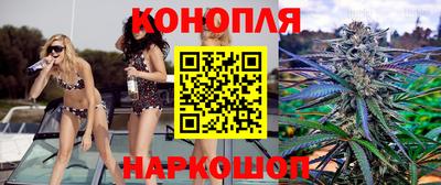 мяу мяу мука Кандалакша