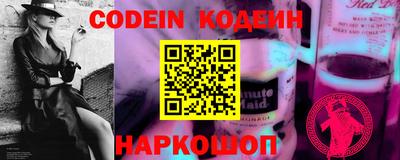 a pvp Камышлов