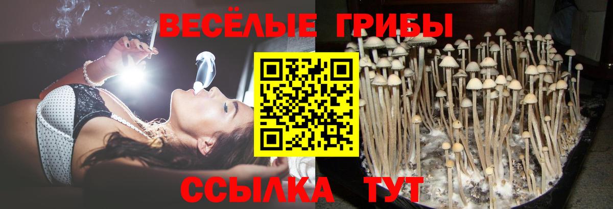 Галлюциногенные грибы ЛСД Ревда